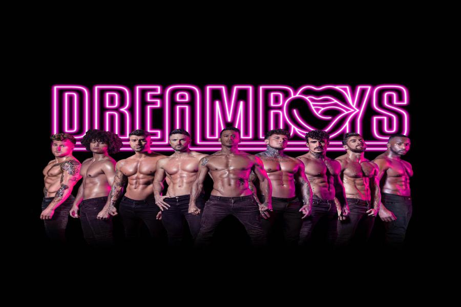 Dreamboys - Too hard to Resist
